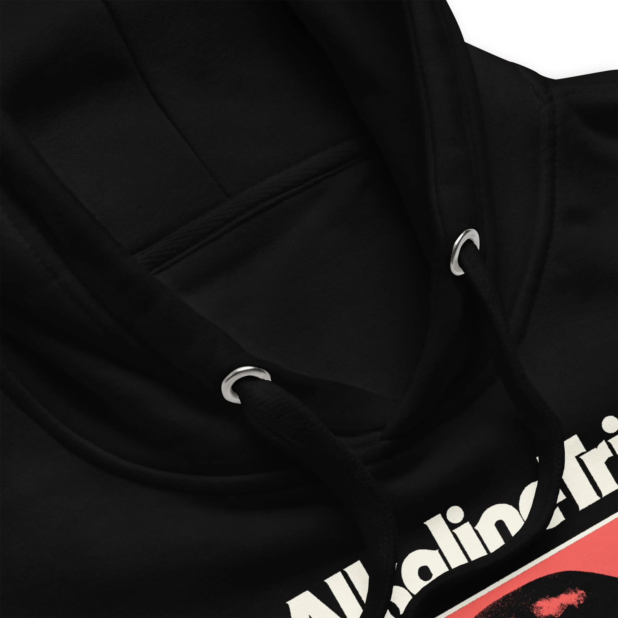 Alkaline Trio - Restricted Hoodie - Image 3
