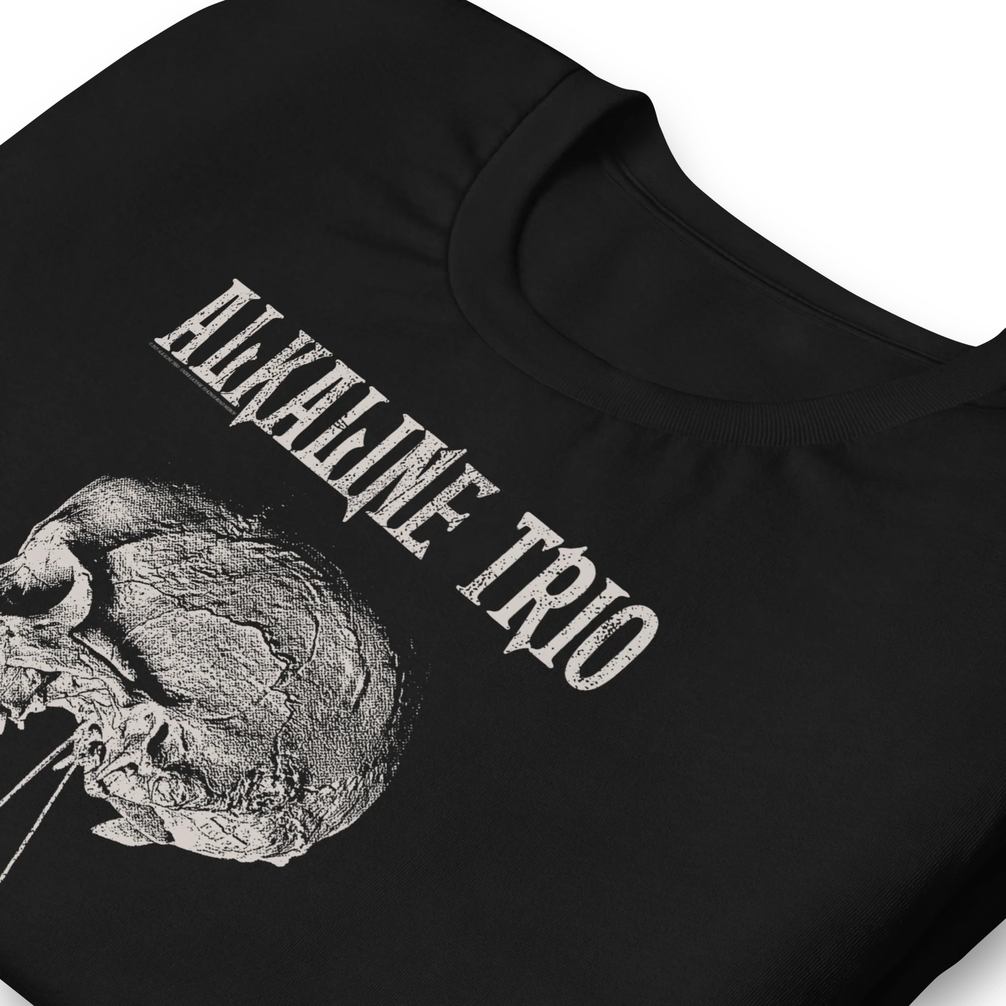 Alkaline Trio - Roses Blooming T-Shirt - Image 3