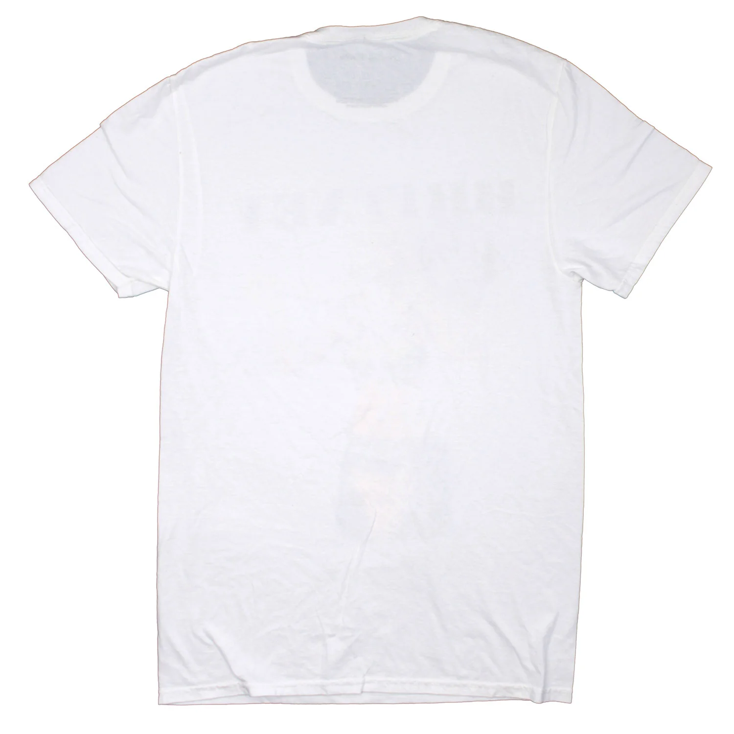 Britney Snake Photo Under Logo T-shirt - Image 2