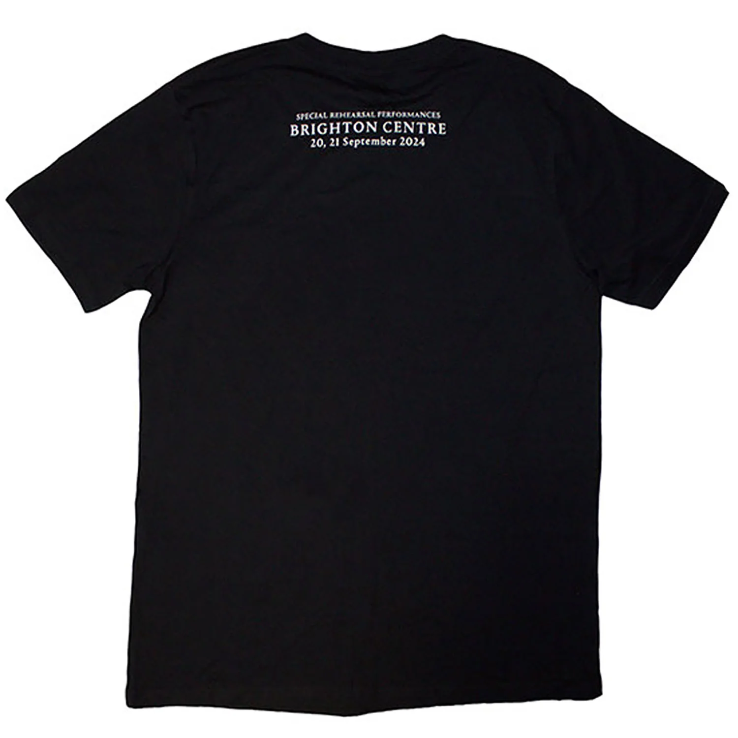 Luck & Strange Brighton T-shirt - Image 2