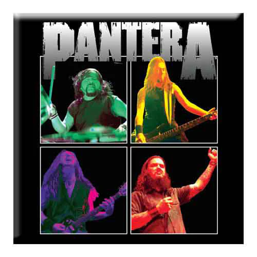 Band Photo Magnet